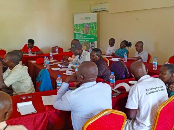 Empowering AgriHUB Managers: agriBORA’s Collaborative Training Initiative