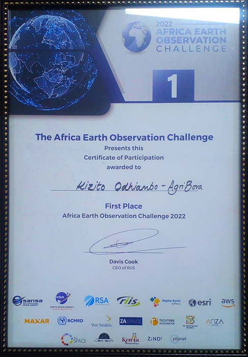 Earth-Observation-Award