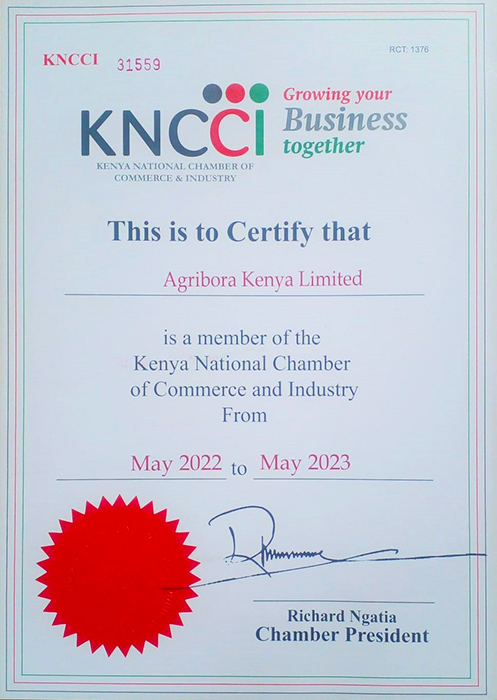 kncci-certificate