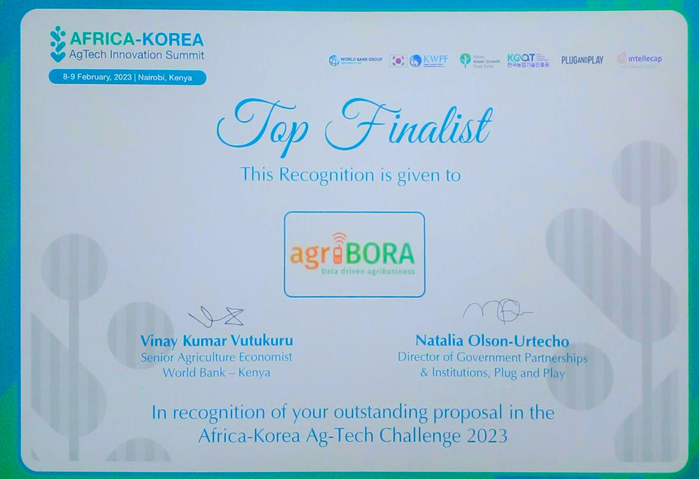 korea-award-certificate