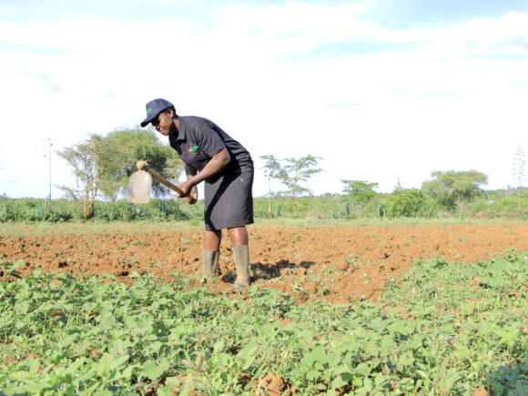 Transforming Farmer Financing with agriKOPA: A Breakthrough in Agricultural Input Loans