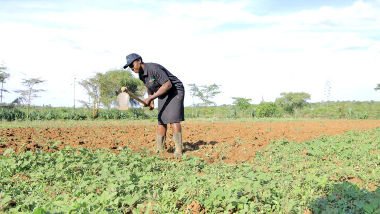 Transforming Farmer Financing with agriKOPA: A Breakthrough in Agricultural Input Loans