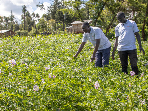 agriKOPA and agriPOS – Bridging Financial Gaps in Smallholder Agriculture​