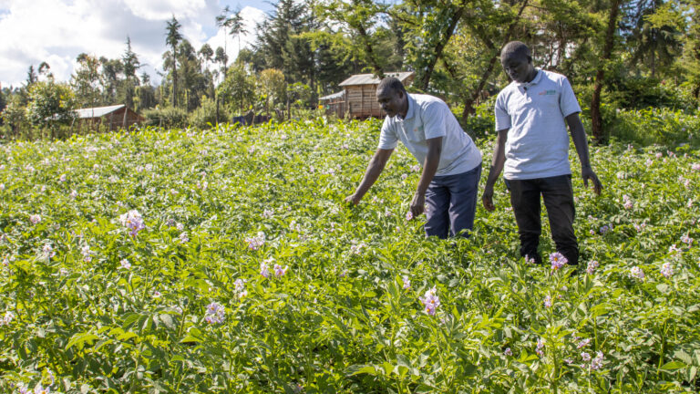 agriKOPA and agriPOS – Bridging Financial Gaps in Smallholder Agriculture​